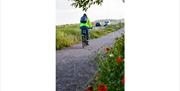 Cyclist on Ditchling Road cycle track