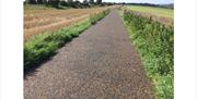 Ditchling Road Cycle Track