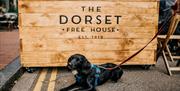 The Dorset
