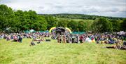 Image shows the dragonfly stage on a sunny day at Pippingford Park.