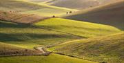 Sussex Downs