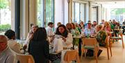 Diners enjoying the bright airy restaurant space at Novellino