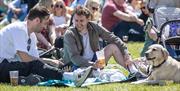 Festival goers enjoying the day, drinking beer.