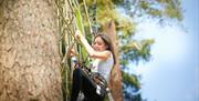 Go Ape Crawley