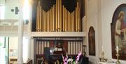 Organ