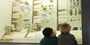 Children looking at bones