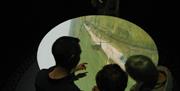 Looking through Camera Obscura