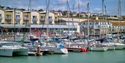 Brighton Marina