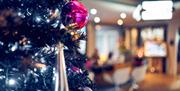 Christmas tree at Malmaison