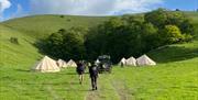 The Fold tents