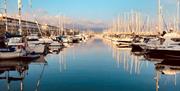 The Marina