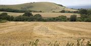 Sussex Downs