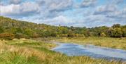 Ridge, River & Wet Woods