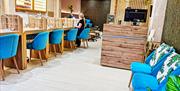 Pamper Studio