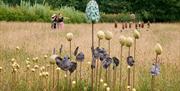 Seedscapes at Wakehurst