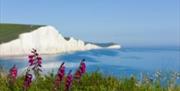 South Downs Escapes -  view of the cliffs