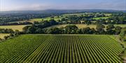 South Downs Escapes -  view of countryside