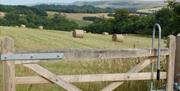 Stanmer Park pedestrian field gate