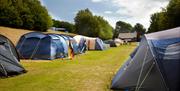 Brighton Experience Freedom Glamping