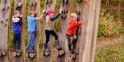 Tree trunk trek Wakehurst