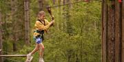 Go Ape Crawley