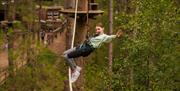 Go Ape Crawley