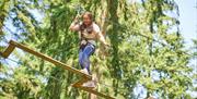 Go Ape Crawley