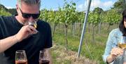 Wine tasting with Shuttle and Vine