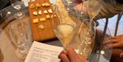 Wine and cheese