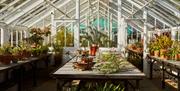 Victorian Greenhouse at Borde Hill