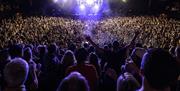 Brighton Centre - crowd