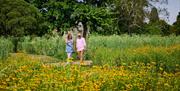 Wakehurst American ~Prairie, Jim Holden © RBG Kew