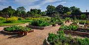 Wakehurst Children_s and Community Garden, Jim Holden © RBG Kew(1)