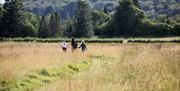 Wakehurst Coronation Meadow, Ollie Dixon © RBG Kew