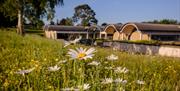 Wakehurst Millennium Seed Bank, Jim Holden © RBG Kew