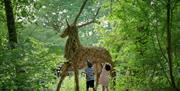 Wakehurst Wild Wood, Visual Air © RBG Kew