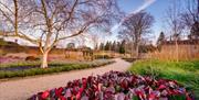 Wakehurst winter garden