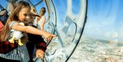 Brighton i360 view from the top.