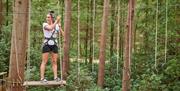 Go Ape Crawley