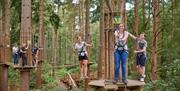 Go Ape Crawley