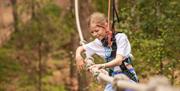 Go Ape Crawley