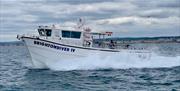 Brighton Wind Farm, Fishing Diving Tours