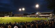 Sussex Cricket - ground with floodlights