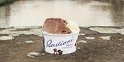 Badiani gelato ice cream