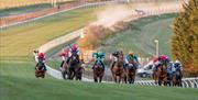 Brighton Racecourse - raceday