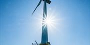 Brighton Wind Farm, Fishing Diving Tours