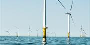 Brighton Wind Farm, Fishing Diving Tours