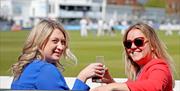 Sussex Cricket