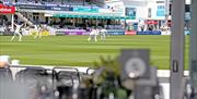 Sussex Cricket