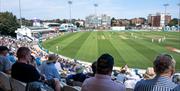 Sussex Cricket